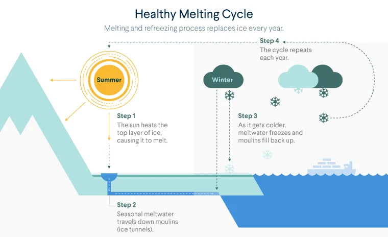 Diagram shows a healthy melting cycle where snow and ice melts in the summer season but then freezes again in the winter. For more info contact us at cfr_education@cfr.org.