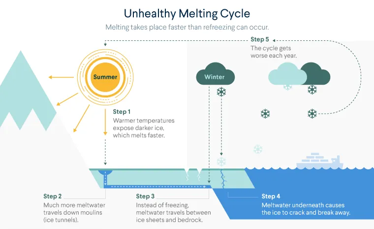 Diagram shows an unhealthy melting cycle, where snow and ice melts in the summer season but not all of it freezes again in the winter. For more info contact us at cfr_education@cfr.org.