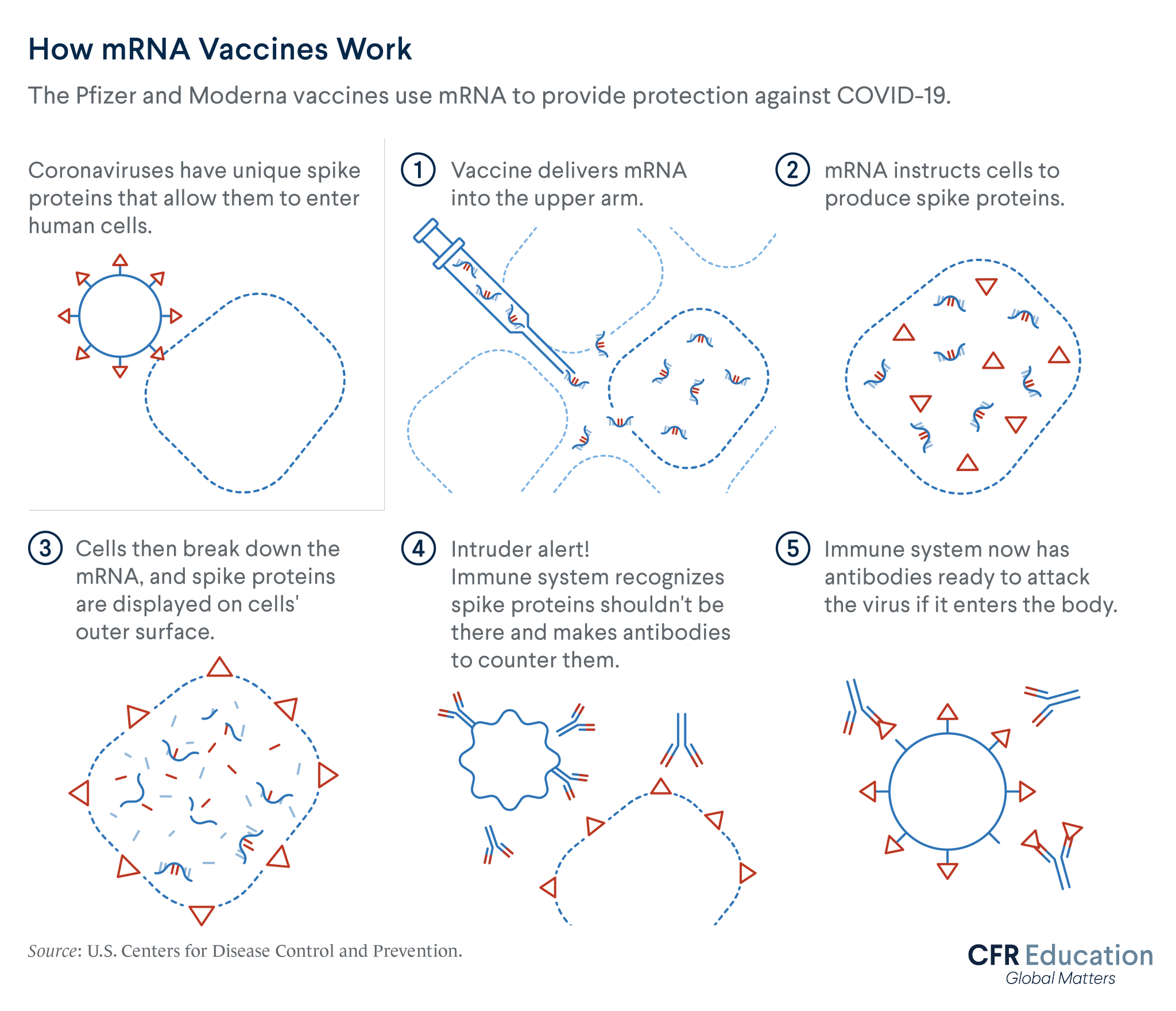 Graphic shows how the Pfizer and Moderna vaccines use mRNA to provide protection against COVID-19. For more info contact us at cfr_education@cfr.org.