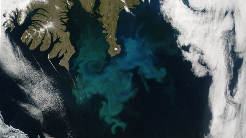 An aerial shot shows a large phytoplankton bloom off the west coast of Iceland in the center of the image.
