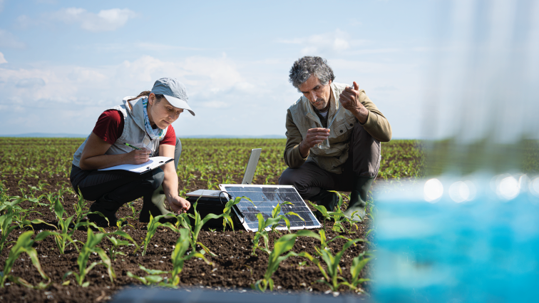 Agronomists crouch in a field and survey soil using mobile lab and AI-driven technologies. 