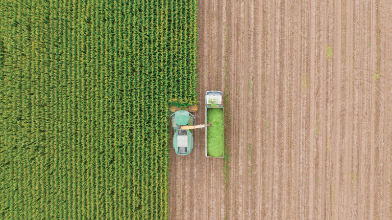 A farmer plowing the field