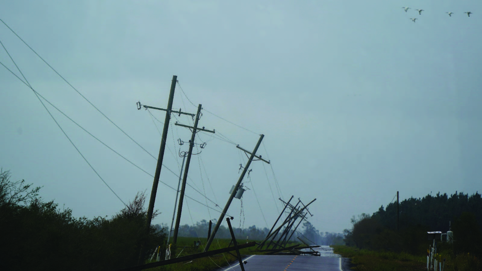 Downed power lines in Creole, Louisiana, after Hurricane Laura on August 28, 2020.