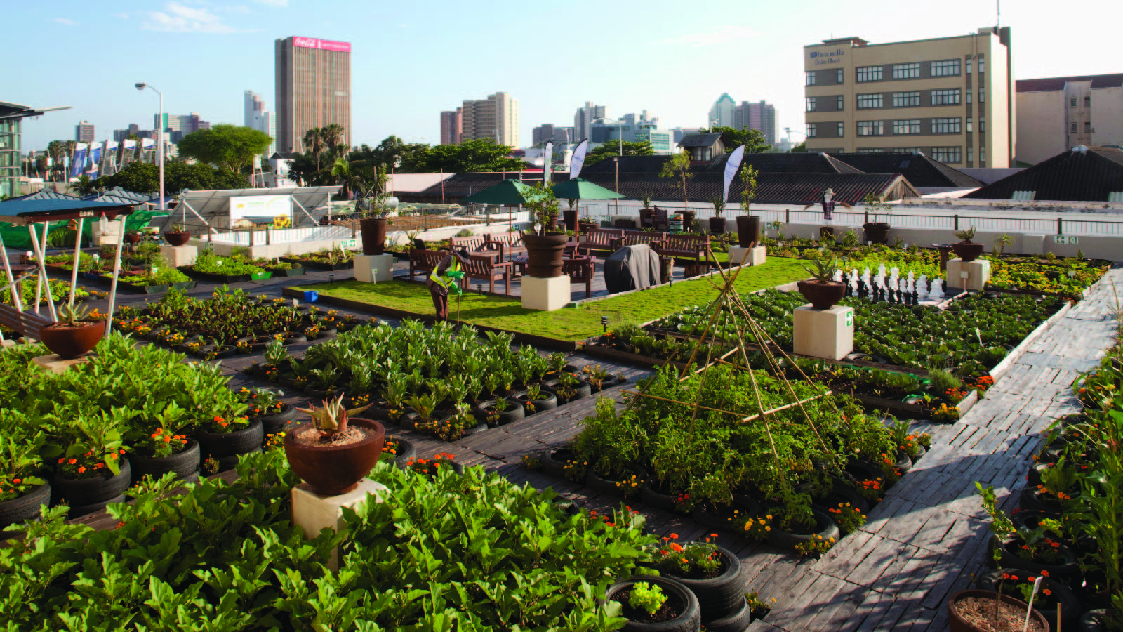 A rooftop garden on a building in Durban, South Africa on December 7, 2011.