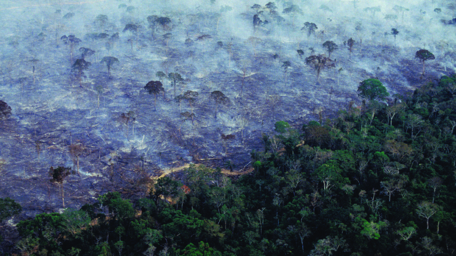 Aerial view of Amazon rainforest burning for agricultural purposes in 2017. 