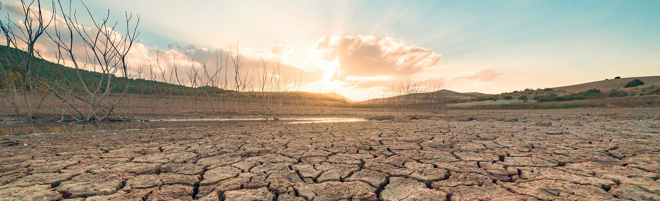 Cracked, dry earth with a blinding sun peeking over the horizon.