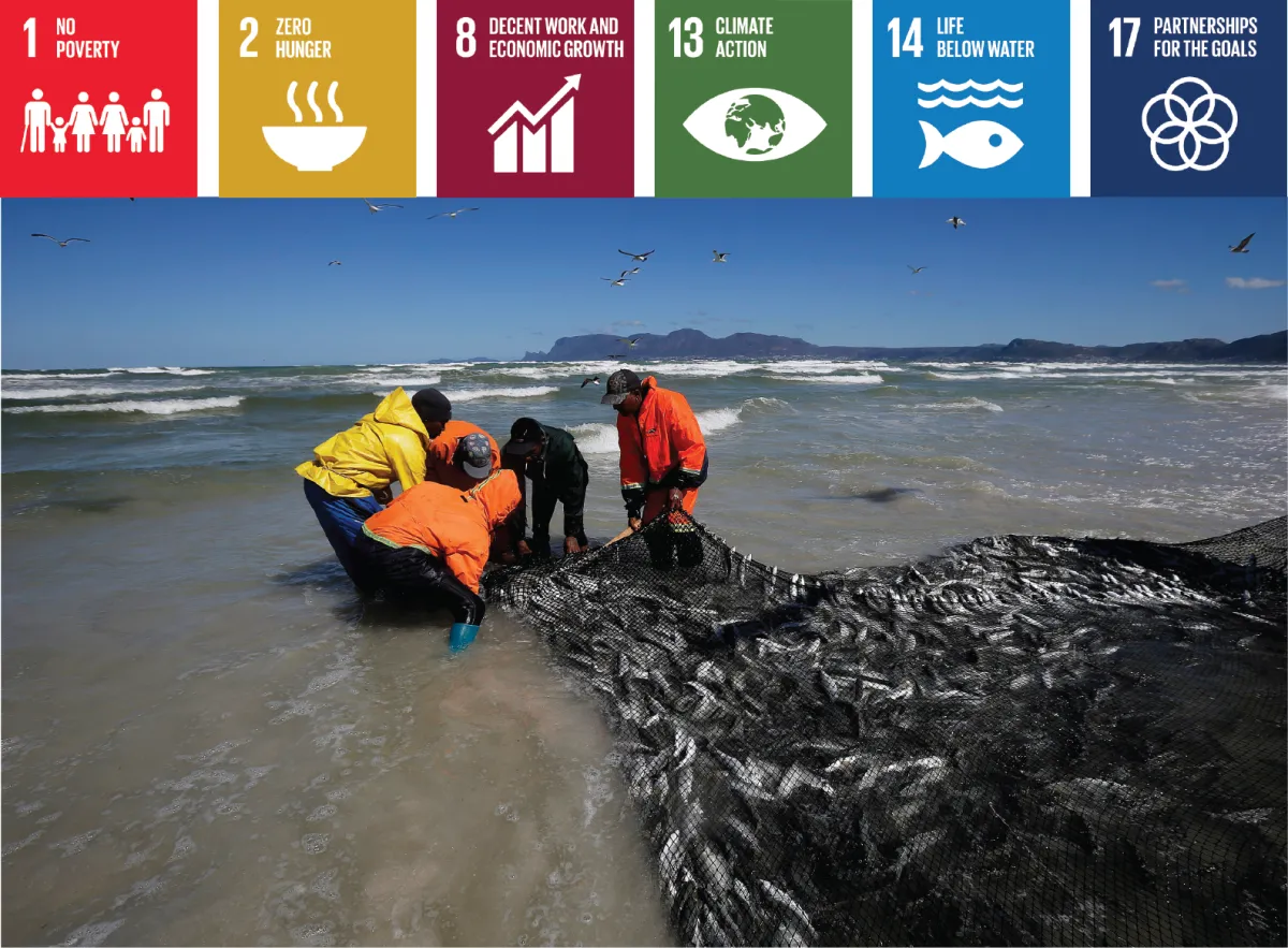 Photo of trek net fishermen hauling in their catch on a Cape Town beach. Above photo are icons for SDGs # 1, 2, 8, 13, 14, 17. For more info contact us at world101@cfr.org.