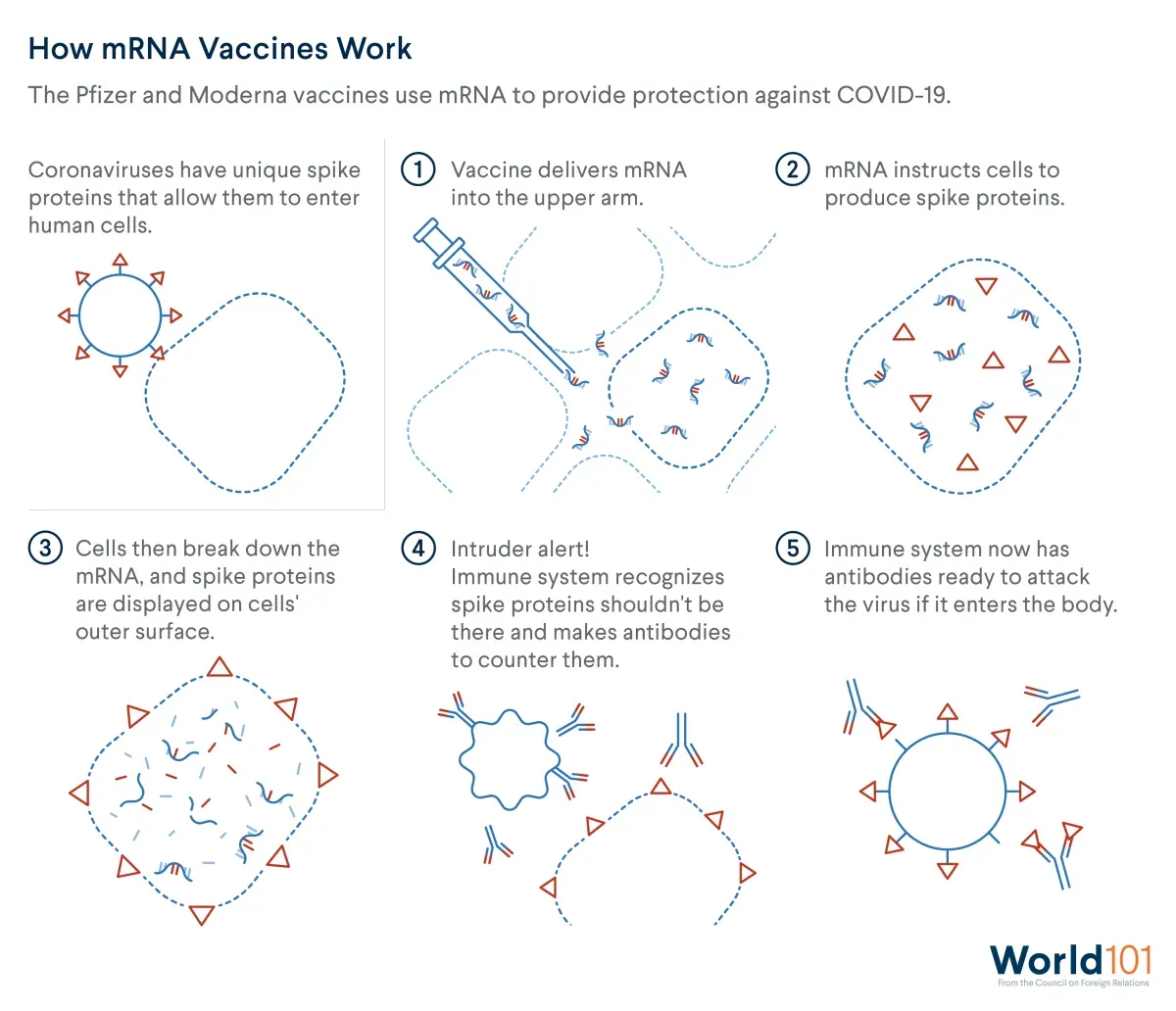 Graphic showing how the Pfizer and Moderna vaccines use mRNA to provide protection against COVID-19. For more info contact us at world101@cfr.org.