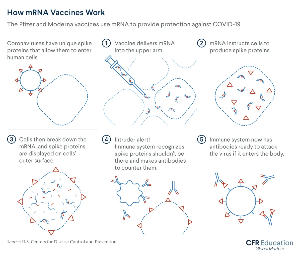 Graphic shows how the Pfizer and Moderna vaccines use mRNA to provide protection against COVID-19. For more info contact us at cfr_education@cfr.org.