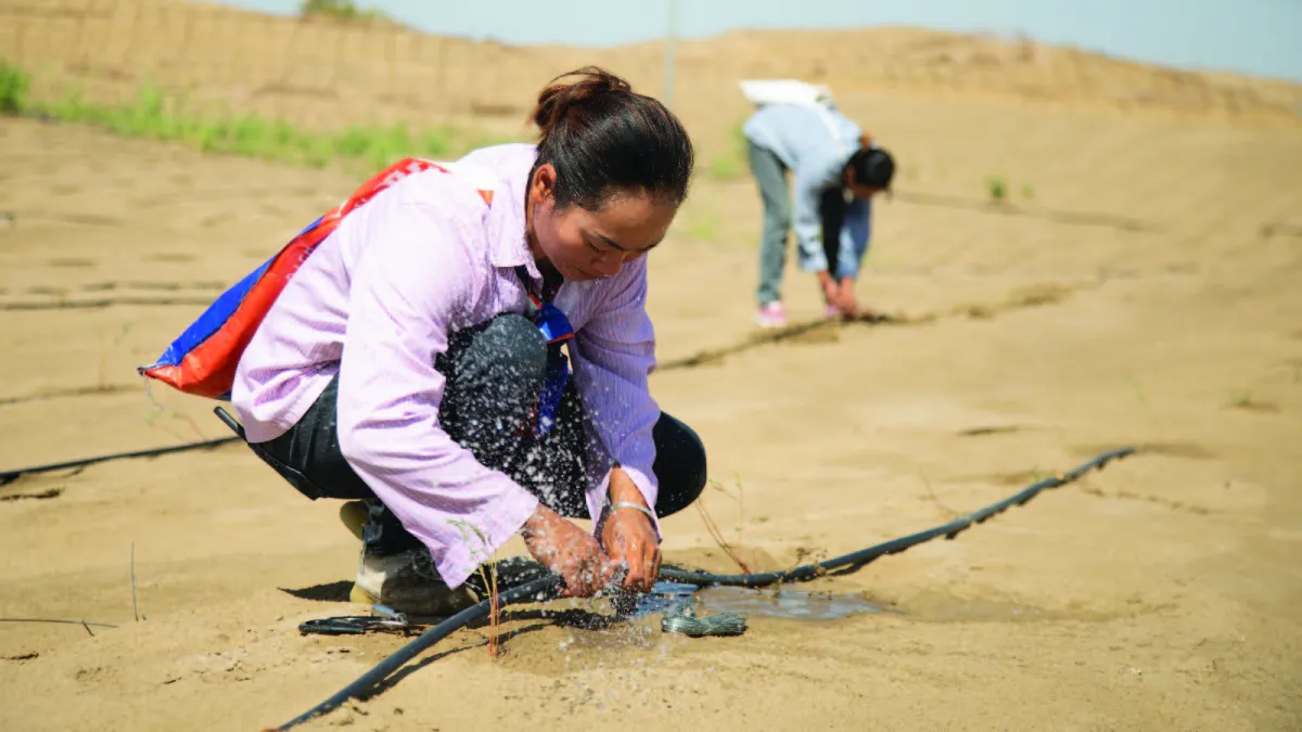 Guards maintain drip irrigation facilities in Bazhou, China, on August 9, 2024.