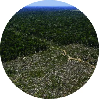 Deforested land in the Amazon in Brazil on July 27, 2017.