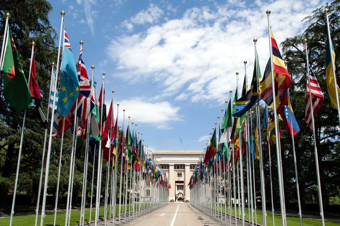 UN flags in front of a building